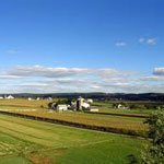 Farmland