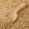 raw quinoa