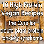 10 High Protein Vegan Recipes