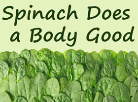 Spinach Does a Body Good