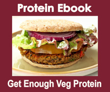 Protein Ebook