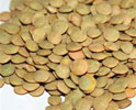 Simple Basic Lentils