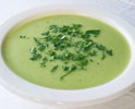 Cream of Celery Soup