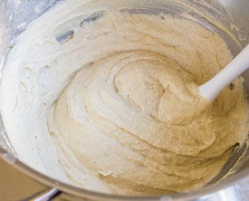 Gluten Free Sourdough Bread Batter