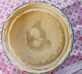 Gluten Free Sourdough Starter