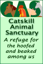 Catskill Animal Sanctuary