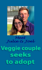 Julie and Joel Adopt 2