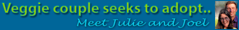 Julie and Joel Adopt