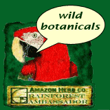 Amazon Rainforest Herbs