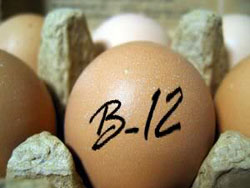 B12 Egg