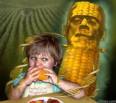 Frankenfood GMO