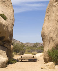 Rock And A Hard Place