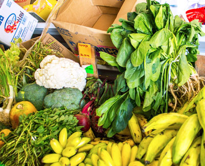 Fresh Local Produce Mexico