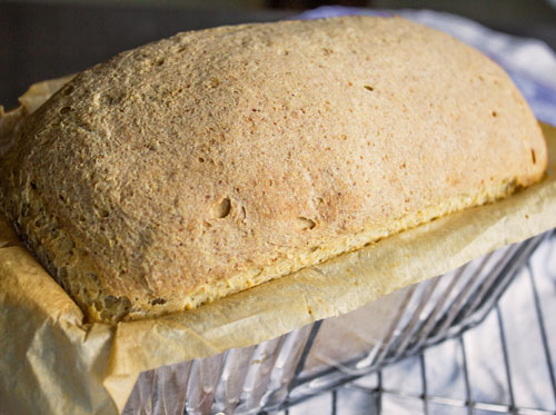 gluten free sourdough bread
